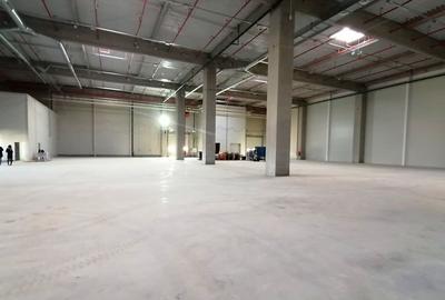 INCHIRIERE SPATII INDUSTRIALE - INCITY BACAU - 7