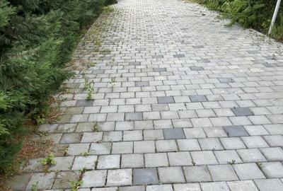 Vând Casă cu ieșire directa la lacul Snagov - 16