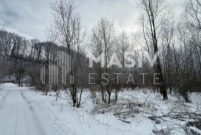 Teren intravilan 6.093 mp – Piatra Arsă, Bușteni, dezvoltare turistică premium! - 5