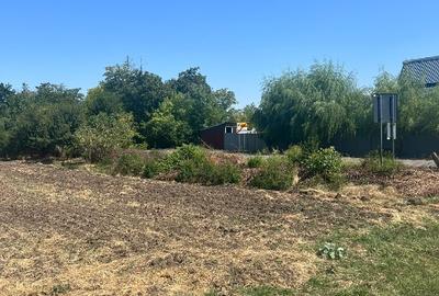 Teren intravilan 4800 mp, Comuna Salciile Prahova - 1