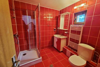 Casa eleganta,zona centrala Aiton,cu ciubar,gradina si panouri fotovoltaice - 14