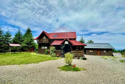 Pensiune/Cabana de vanzare, 6 camere, in Belis, Balcesti - 2