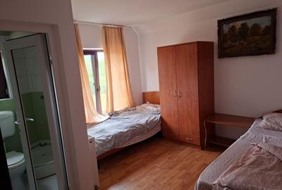 BRASADAS vinde casa individuala 9 cam in Bercu Rosu. - 9