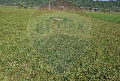Teren intravilan de vânzare în Crăciunești – 1.780 mp - 3