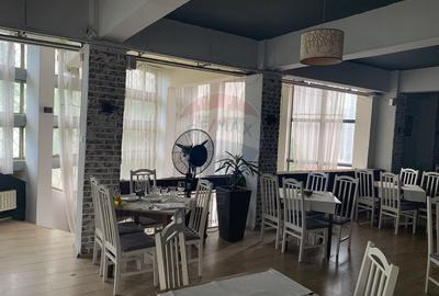 Spațiu comercial, 255 mp în Andrei Mureșanu