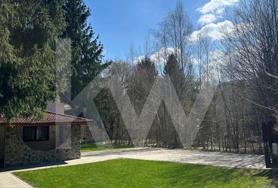 Vila de poveste din Valea Avrigului de vanzare - 38