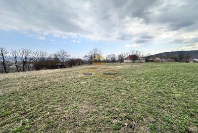 Teren de vanzare Blagesti Bacau - 12