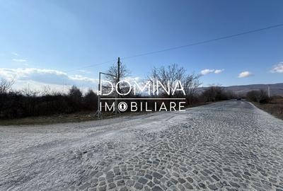 Vânzare teren cu dublă deschidere, situat în comuna Lelești, sat Lelești - 6