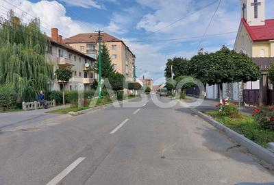 Apartament cu 2 camere nedecomandat, mobilat în Cisnădie