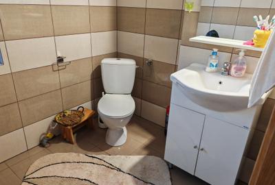 Casa 4 camere libera la vanzare, pozitie deosebita VULCAN - 17