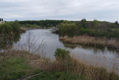 OCAZIE VANZARE TEREN CU DESCHIDERE LA LAC - 6