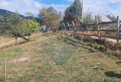 Teren agricol intravilan de 4608 mp, în Măgura