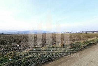Teren intravilan | De vanzare | 780 mp | 30 ml deschidere | Partos - 2