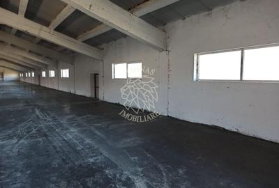 2 Hale 1000 mp si 900 mp-teren 3400 mp-oportunitate-Livezile - 2