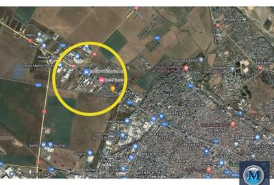 Teren Construcții intravilan de 10401 mp, în Albert