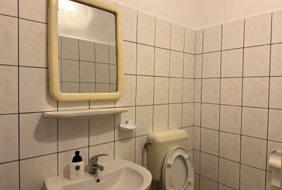 Spatiu Comercial zona PIATA - ANAF - 3