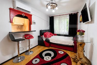 Apartament 2 camere, etaj intermediar, 33.71 mp, zona Pod Ros - 2