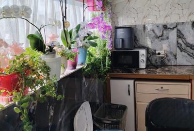 Varias - Casa Individuala - Teren - 8