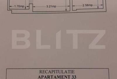 Apartament 2 camere, etaj intermediar, zona Tatarasi - 10