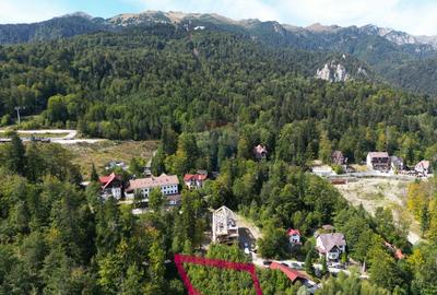 Teren intravilan 2,244mp Sinaia | Strada Soimului | Vedere Panoramica