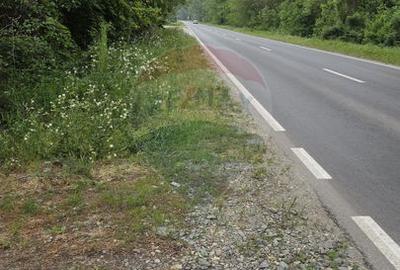 Teren intravilan, 752 mp, Bolintin-Deal, Giurgiu - 7