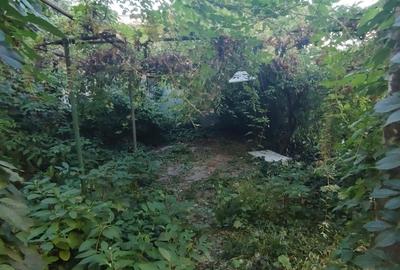 Casa-Curte proprie | Plantelor | - 15