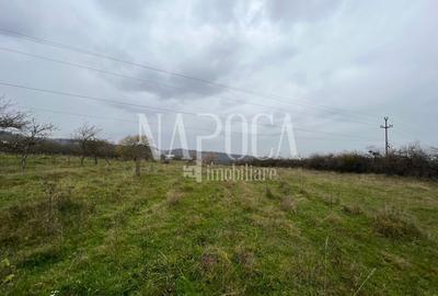 Teren intravilan pentru constructii de vanzare in Feleacu - 3