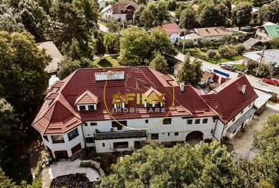 Vila Zoldy, 21.823 mp teren cu iesire catre paraul Prahova - 2