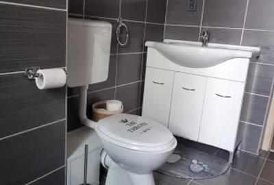 Casa Individuala de vanzare cu teren 500 m, Gilau - 11