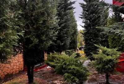 Baneasa, Sisesti, vanzare vila S+P+1E+M, renovata in 2014, 1576 mp teren, - 20