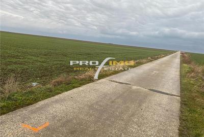 Plaja Corbu-Teren 4200mp. la numai 8 euro /mp. Soseaua asfaltata - 12