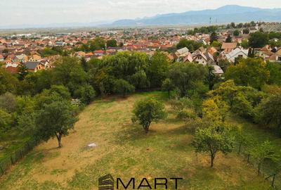 Teren Intravilan 924 mp Codlea 3 Parcele - 3