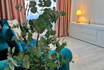 Apartament cu 2 camere semidecomandat în Podu Roș