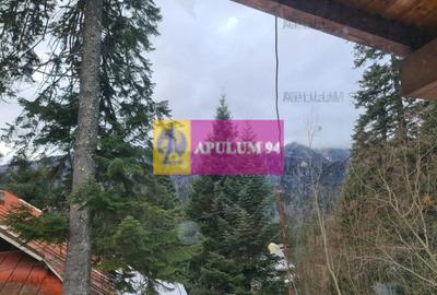 Vilă de vânzare in Sinaia - Zona Cumpătu - 16