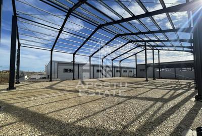 Hala noua cu rampa tir, 540 mpu, Giarmata - 8