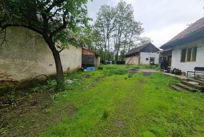 Casa de renovat  in Sinca Noua - 12