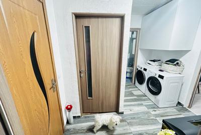 Apartament 3 camere Lacul Tei -Doamna Ghica - 5