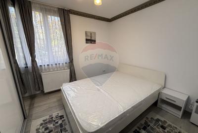 Apartament cu 3 camere de închiriat în zona Teiul Doamnei - 5