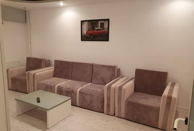 Apartament mobilat,utilat modern,centrala gaz,termen lung - 3