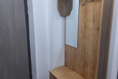 Apartament de inchiriat, o camera, semidecomandat, 27 mp, Zimbru - 3