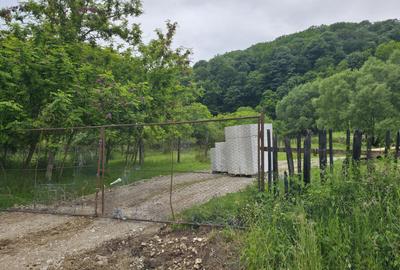 Teren intravilan 3.837 mp Cartier Bocșa Montană, Str. Izvor, Jud. CS - 5