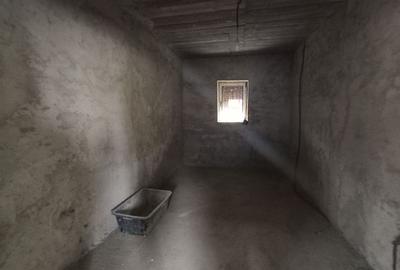 Casa Individuala Suprafete Generoase, Teren Mare, La Rosu - 12