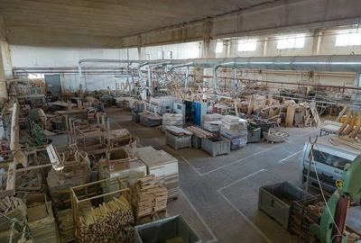 De vazare Hale industriale, pretat depozit, productie, curte proprie - 8