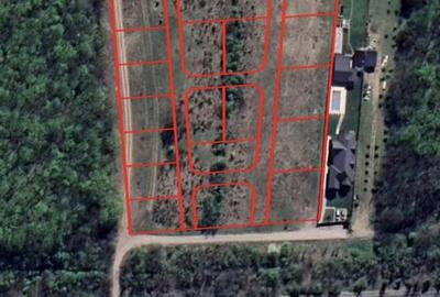 EXCLUSIVITATE-PROIECT UNIC PADUREA SNAGOV! Loturi 400-600 m2 ,PUZ rezidential - 3