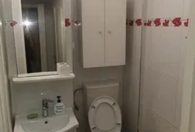 Apartament cu 2 camere semidecomandat, mobilat în Podul de Piatră - 8