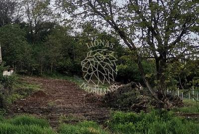 Teren Construcții intravilan de 1000 mp, în Centura