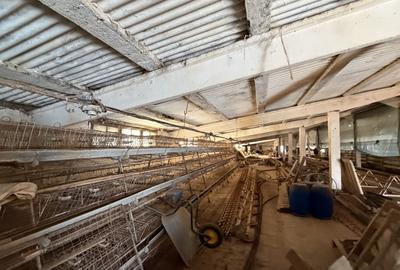 Hala industrială de vânzare în Beclean, Bistrița-Năsăud – 770 mp teren + cons - 3