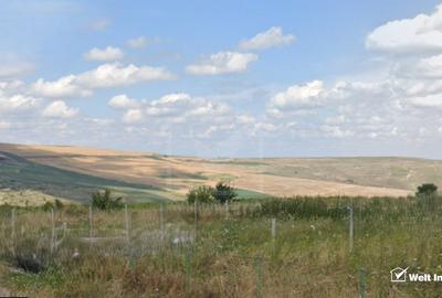 Teren in Fanatele Clujului Valea lui Craiu, 8.1 ha, extravilan - 1