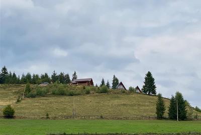 RECO Teren intravilan in Arieseni 1700mp cu Utilitati - 3