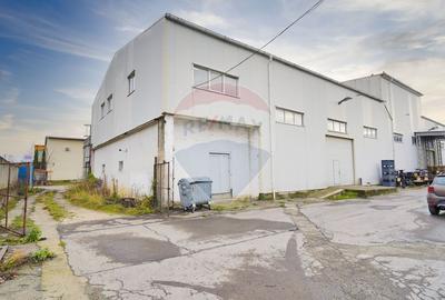 Hala industrială – investiție stabilă sau potențial operațional - 8